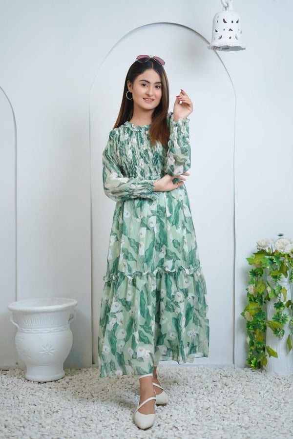 Women's Printed Chiffon Frock  | 1-Piece Standard Size Long Dress