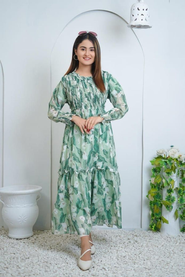 Women's Printed Chiffon Frock  | 1-Piece Standard Size Long Dress